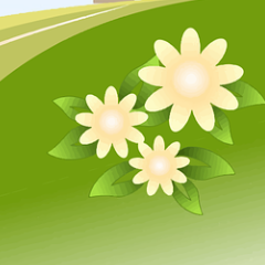 kai云体育app官网版下载官网