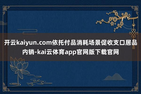 开云kaiyun.com依托付品消耗场景促收支口居品内销-kai云体育app官网版下载官网