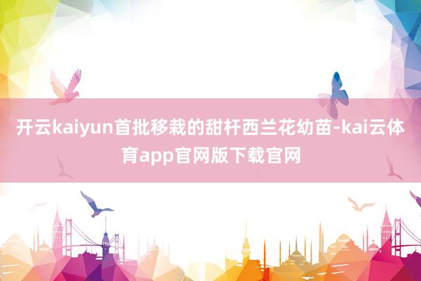 开云kaiyun首批移栽的甜杆西兰花幼苗-kai云体育app官网版下载官网