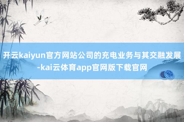 开云kaiyun官方网站公司的充电业务与其交融发展-kai云体育app官网版下载官网